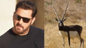 salman-5-1 (1)