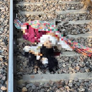 WhatsApp Image 2025-08-28 at 5.55.18 PM