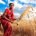 महाराष्ट्र विधानसभा में महिला किसान सशक्तिकरण विधेयक पास: अब महिला किसानों को मिलेगी अलग पहचान, सरकारी योजनाओं का सीधा लाभ